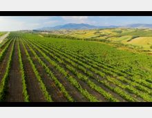 Screen Shot 2025-03-17 at 10.30.02.png