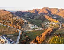 Drone View of the Area