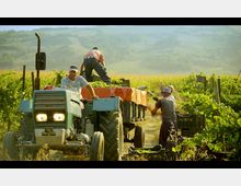 Screen Shot 2025-03-17 at 10.29.27.png