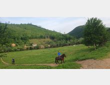 Horse Ranch by the Lake