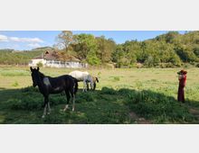 Horse Ranch by the Lake
