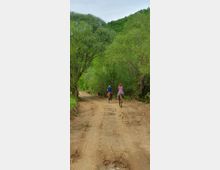 Horse Ranch by the Lake