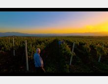 Screen Shot 2025-03-17 at 10.32.06.png