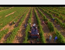 Screen Shot 2025-03-17 at 10.29.19.png