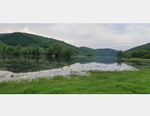 Horse Ranch by the Lake