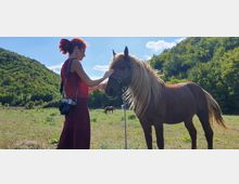 Horse Ranch by the Lake