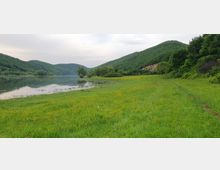 Horse Ranch by the Lake