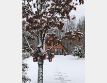 WhatsApp Image 2025-01-16 at 18.50.23_518ae461.jpg