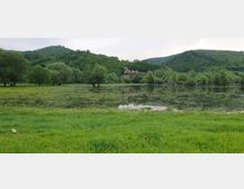 Horse Ranch by the Lake