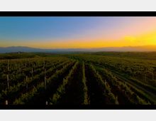 Screen Shot 2025-03-17 at 10.32.19.png