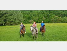 Horse Ranch by the Lake