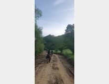 Horse Ranch by the Lake