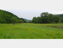 Horse Ranch by the Lake