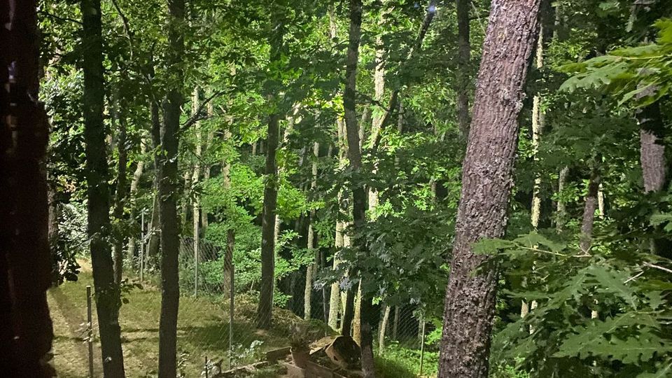 WhatsApp Image 2025-01-16 at 18.47.01_e6ecaa4c.jpg